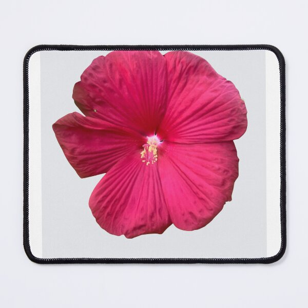 Item preview, Hibiscus  designed and sold by diazglennys.