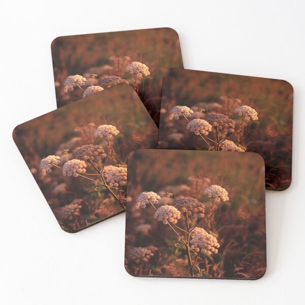 Item preview, Angelica at twilight, Isle of Skye designed and sold by Bradley-Photo.