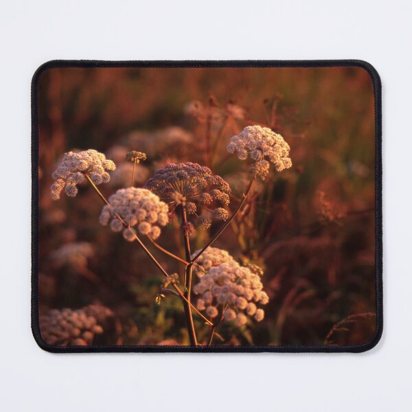 Item preview, Angelica at twilight, Isle of Skye designed and sold by Bradley-Photo.