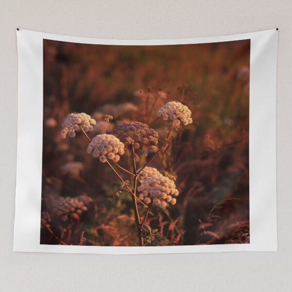 Item preview, Angelica at twilight, Isle of Skye designed and sold by Bradley-Photo.