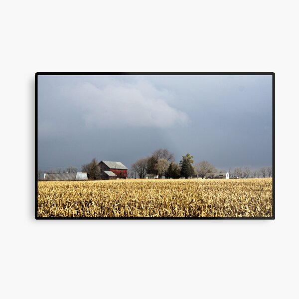 Stormy Day On The Farm Metal Print