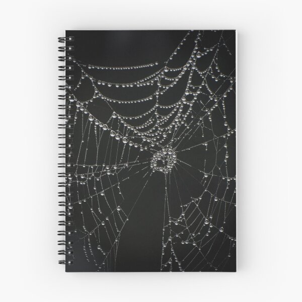 Item preview, Spider web designed and sold by Zina Stromberg.
