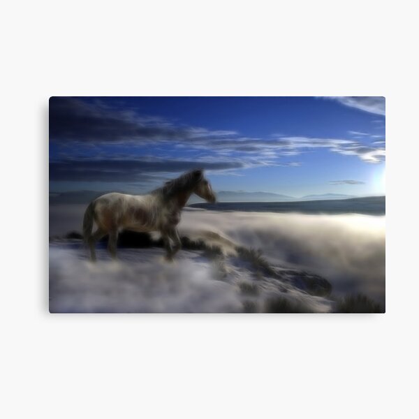 Dream-Mare Canvas Print