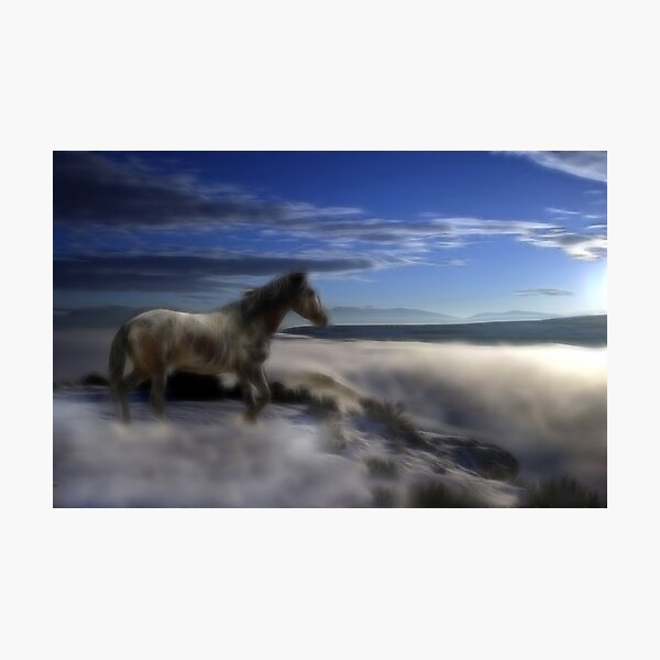 Dream-Mare Photographic Print