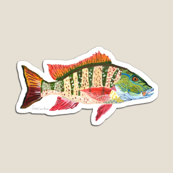Mutton Snapper Magnet