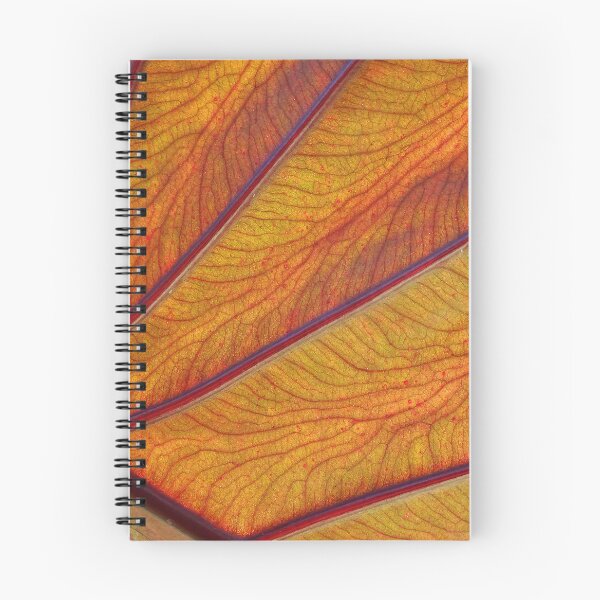 Item preview, Leaf  #0011 designed and sold by Jeffrey Mask.