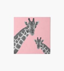 Giraffe Rosa Galeriedruck