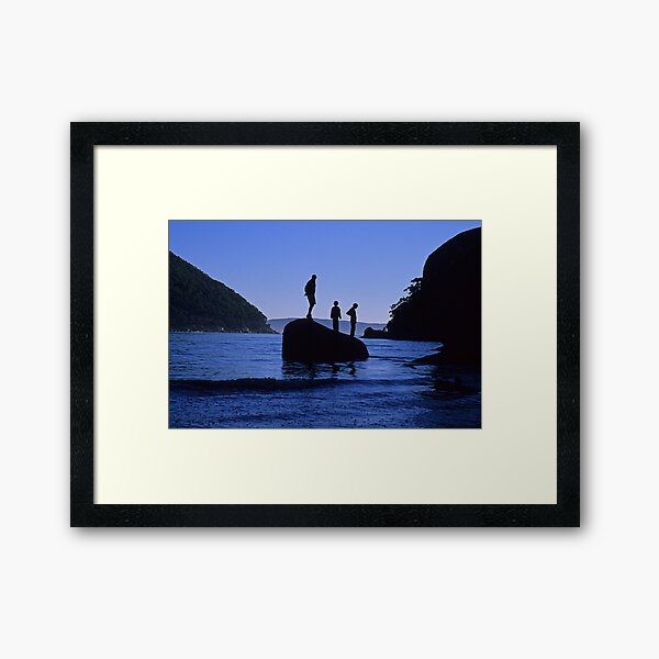 Sealers Playground Framed Art Print
