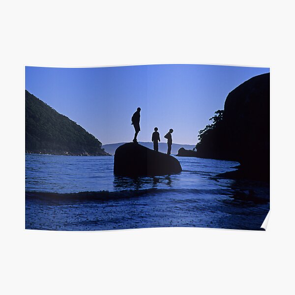Sealers Playground Poster