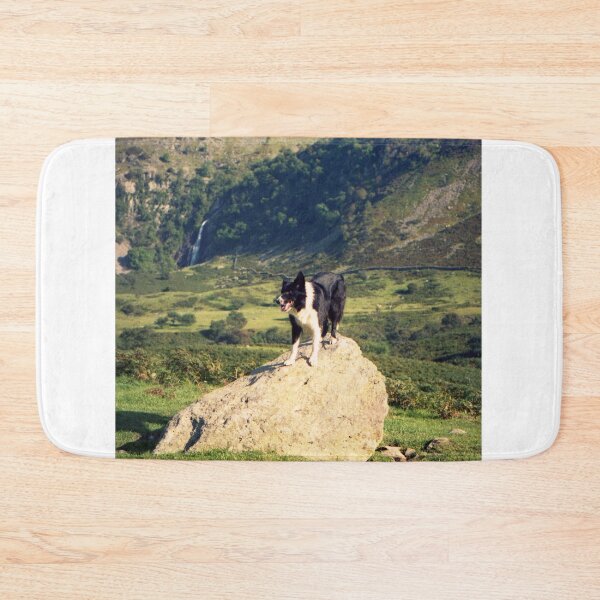 Item preview, Young Indy at Aber Falls designed and sold by Michael Haslam.