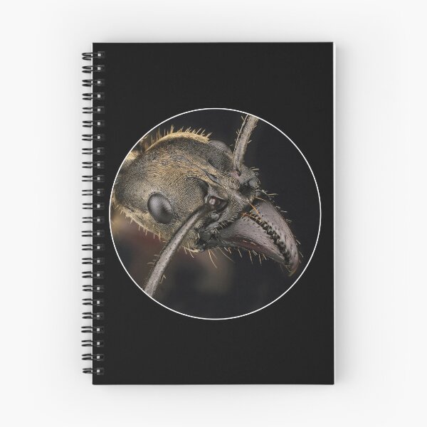 Item preview, Bullet ant portrait. designed and sold by Luggnagg.