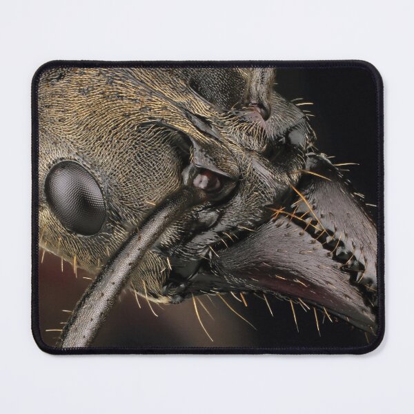 Item preview, Bullet ant portrait. designed and sold by Luggnagg.