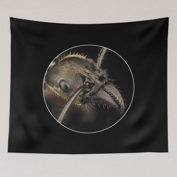 Item preview, Bullet ant portrait. designed and sold by Luggnagg.