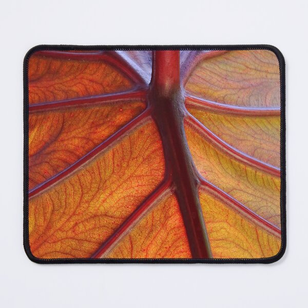 Item preview, Leaf  #0012 designed and sold by Jeffrey Mask.