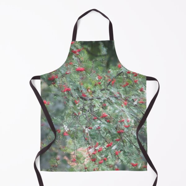 Item preview, Berry Branch Photograph from Cannock Chase designed and sold by Paulele.