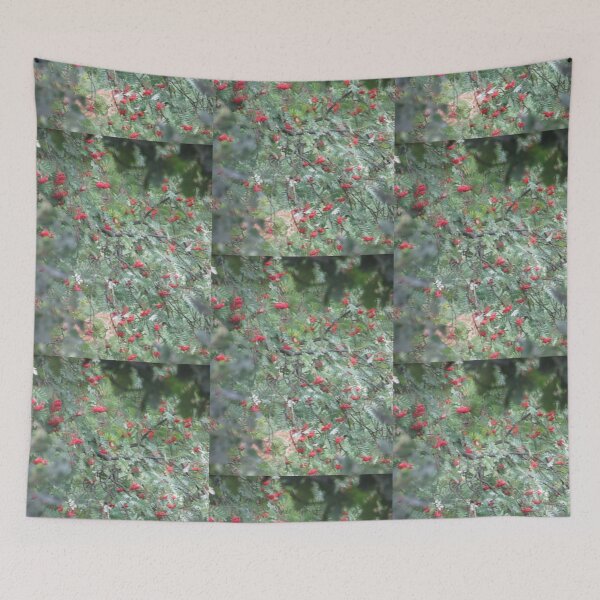 Item preview, Berry Branch Photograph from Cannock Chase designed and sold by Paulele.