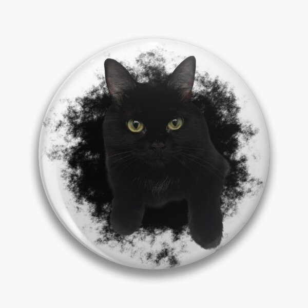 Aperçu de l'œuvre El Gato Negro créée et vendue par antevasinart.