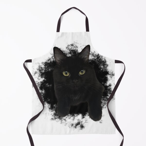 Aperçu de l'œuvre El Gato Negro créée et vendue par antevasinart.