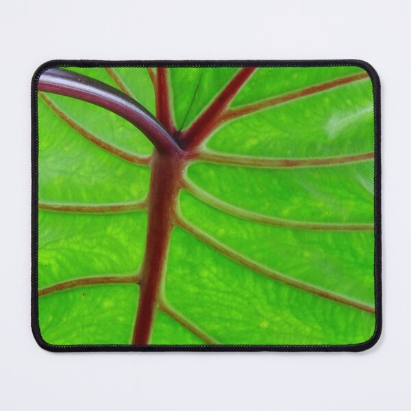 Item preview, Leaf #013 designed and sold by Jeffrey Mask.