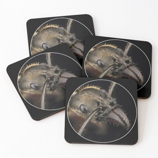 Item preview, Bullet ant portrait. designed and sold by Luggnagg.
