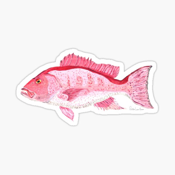 Red Snapper Sticker