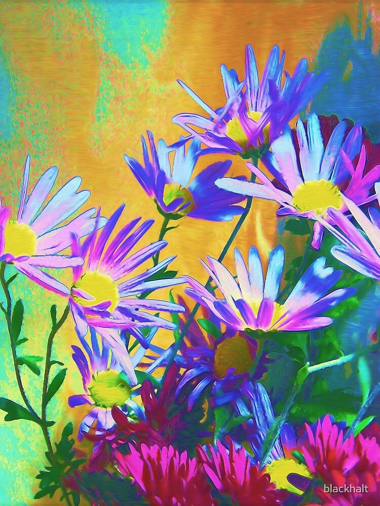 Flowers bloom by blackhalt