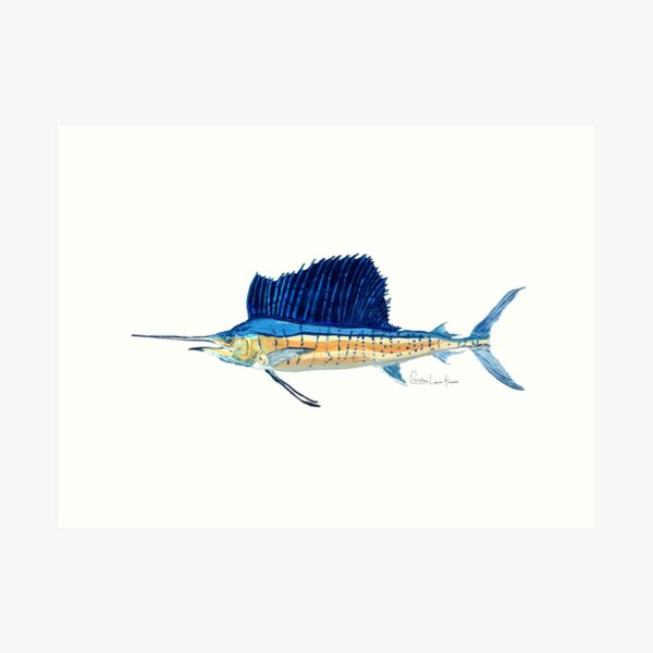 Sailfish Art Print