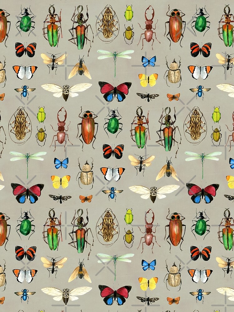 The Usual Suspects - Insects on grey - watercolour bugs pattern by Cecca Designs by Cecca-Designs
