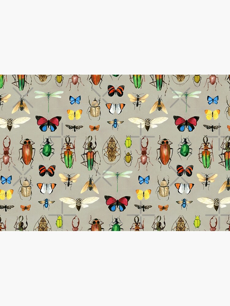The Usual Suspects - Insects on grey - watercolour bugs pattern by Cecca Designs by Cecca-Designs