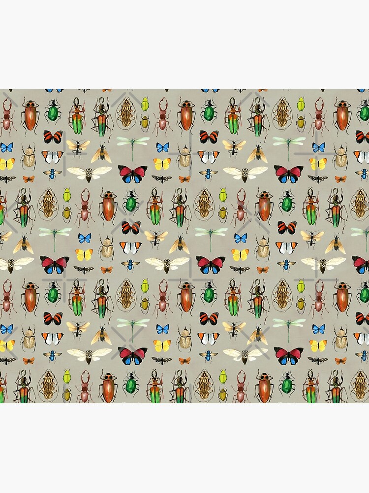 The Usual Suspects - Insects on grey - watercolour bugs pattern by Cecca Designs by Cecca-Designs