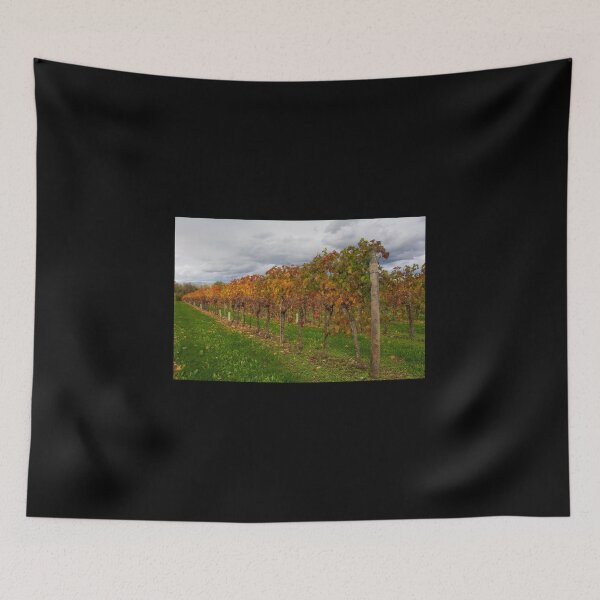 Item preview, Autumn Grape Vines in North East Italy designed and sold by jojobob.
