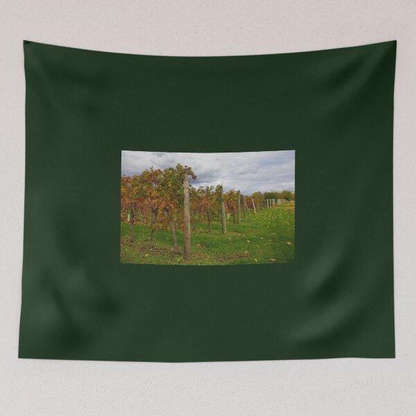 Item preview, Autumn Grape Vines in North East Italy designed and sold by jojobob.