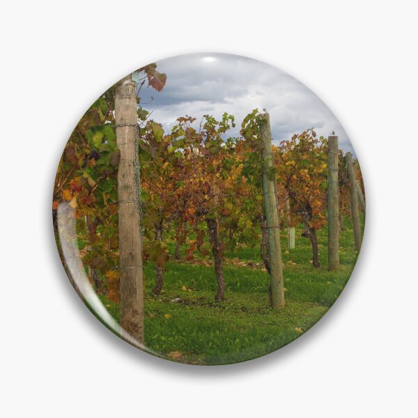 Item preview, Autumn Grape Vines in North East Italy designed and sold by jojobob.