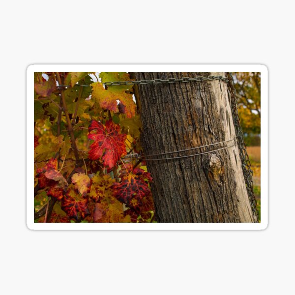 Item preview, Autumnal Grape Leaves designed and sold by jojobob.