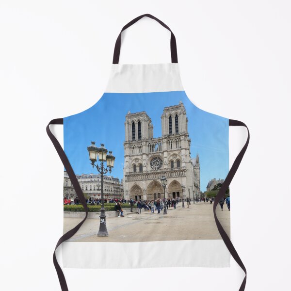 Item preview, Stunning! Notre Dame France designed and sold by Picturestation.