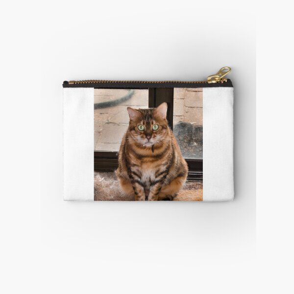 Item preview, I Caught It. Now what do I do with it? designed and sold by Sandra Chung.