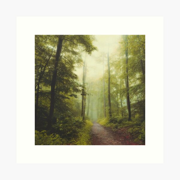 Item preview, Long Forest Walk designed and sold by Dyrk Wyst Redbubble Shop.