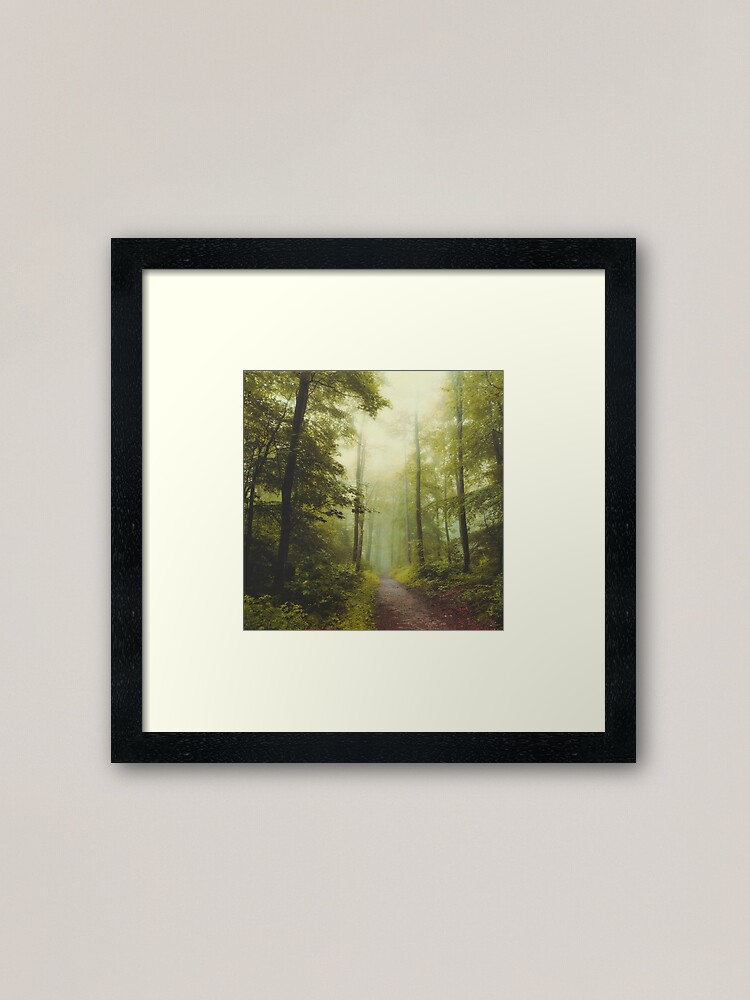 Alternate view of Long Forest Walk Framed Art Print
