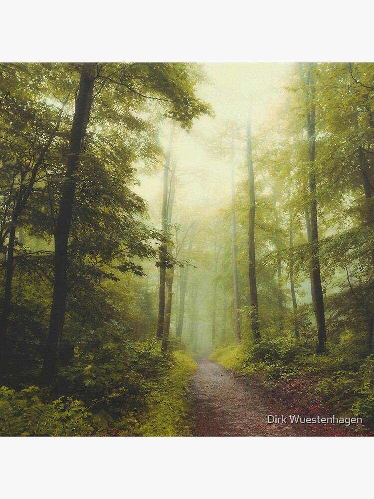 Thumbnail 3 of 3, Art Print, Long Forest Walk designed and sold by DyrkWyst.