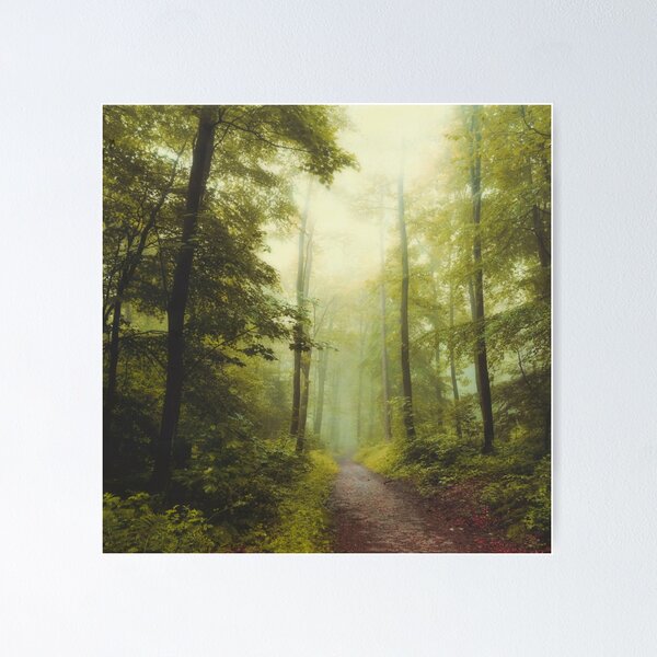 Item preview, Long Forest Walk designed and sold by Dyrk Wyst Redbubble Shop.