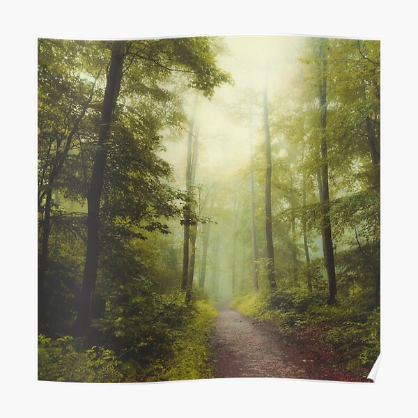 Long Forest Walk Poster