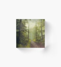 Long Forest Walk Acrylic Block
