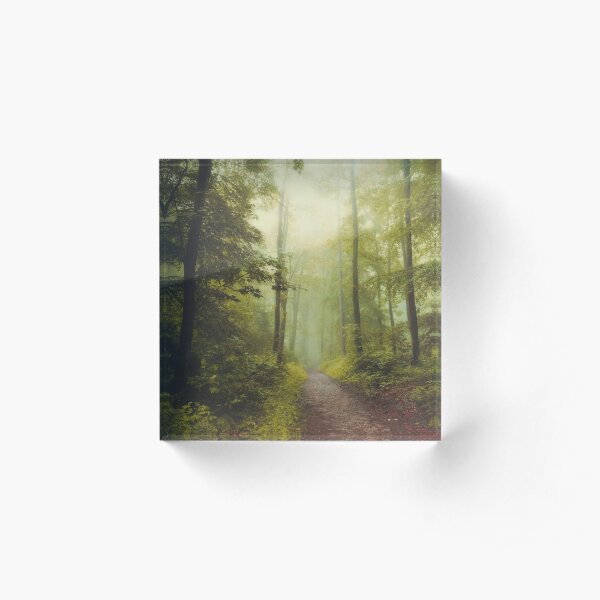 Long Forest Walk Acrylic Block
