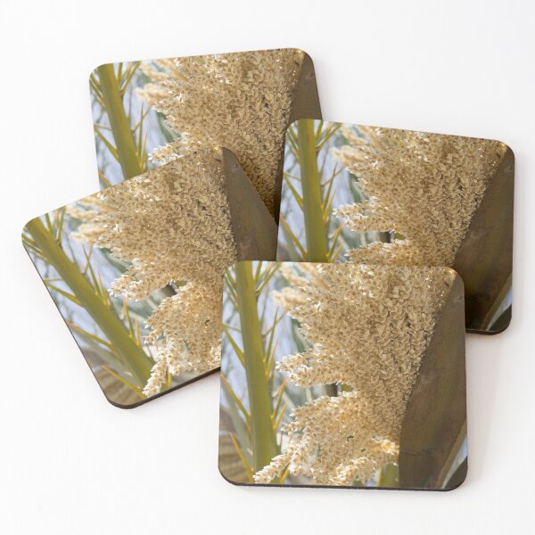 Item preview, Flowering date palm and sunlight designed and sold by Adriana Mueller.