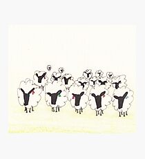 Hello ladies Photographic Print