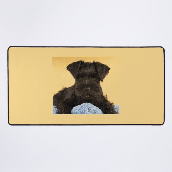 Item preview, Black Miniature Schnauzer Puppy Dog designed and sold by ScienceSource.
