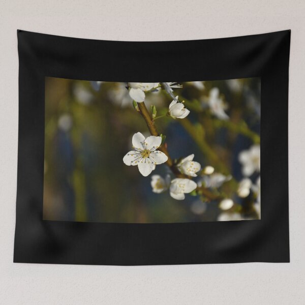 Item preview, Cherry blossoms designed and sold by Mii-pics.