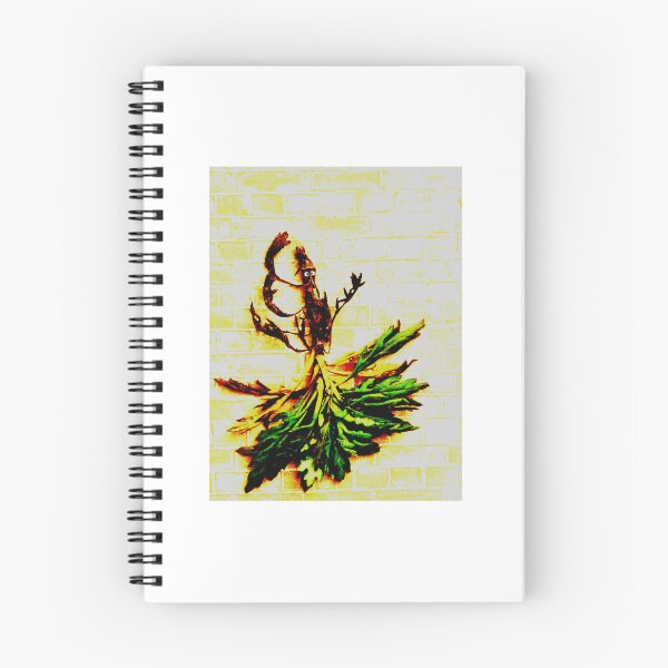 Item preview, Don Quixote does Flamenco-hoho! designed and sold by FrankieLassut.