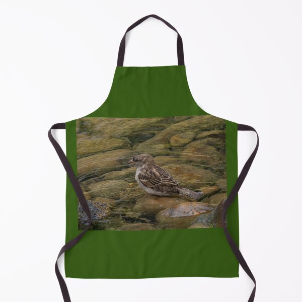 Item preview, Sparrow on a Rock in Water Feature designed and sold by Gerda Grice Photography.
