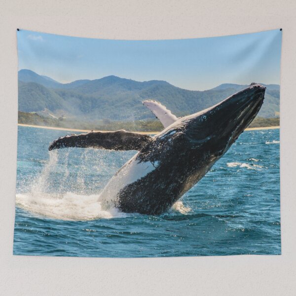 Item preview, Whale Playing In The Ocean ~ Beautiful Sea Creature designed and sold by bayberrygal.
